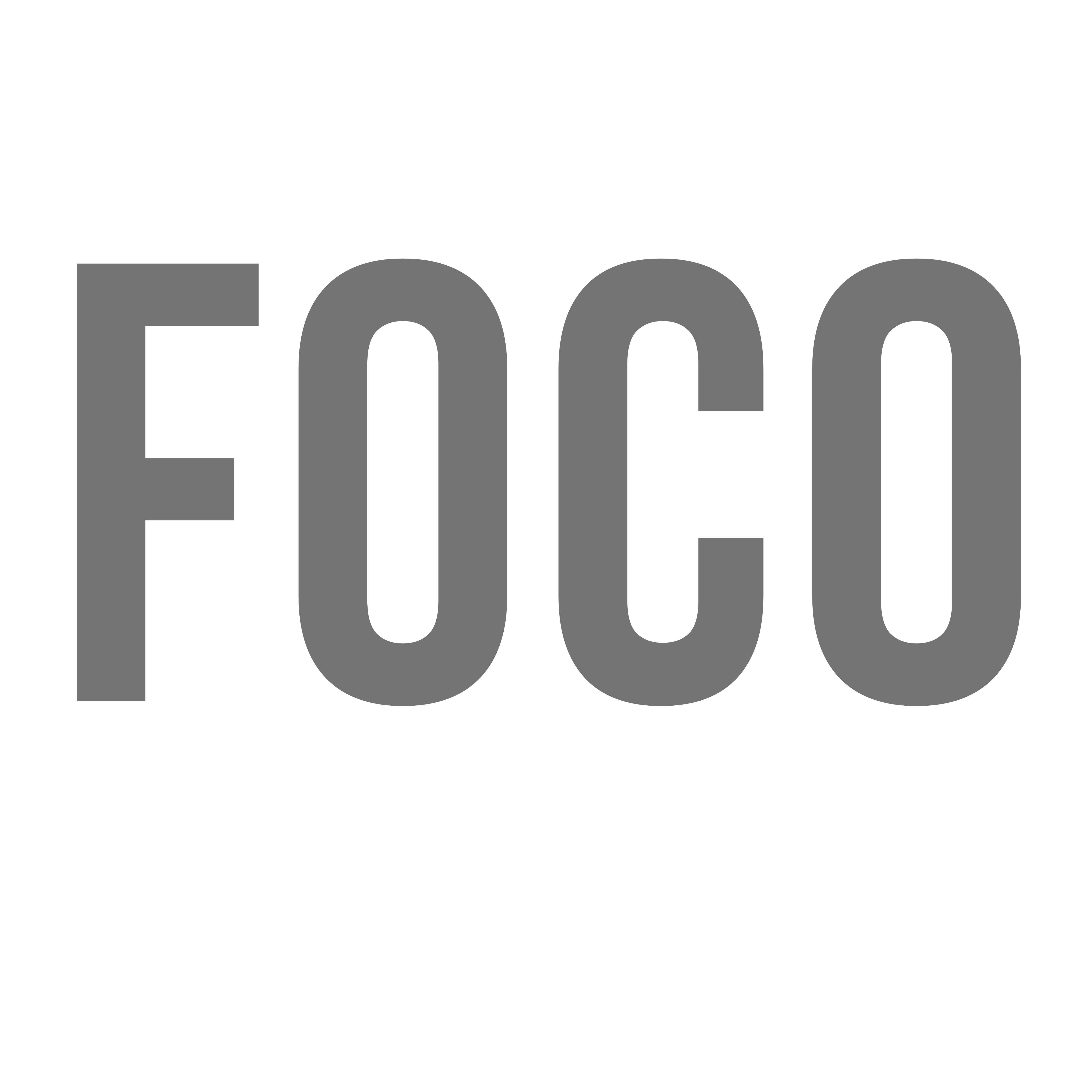 sistema personalizado FOCO ERP